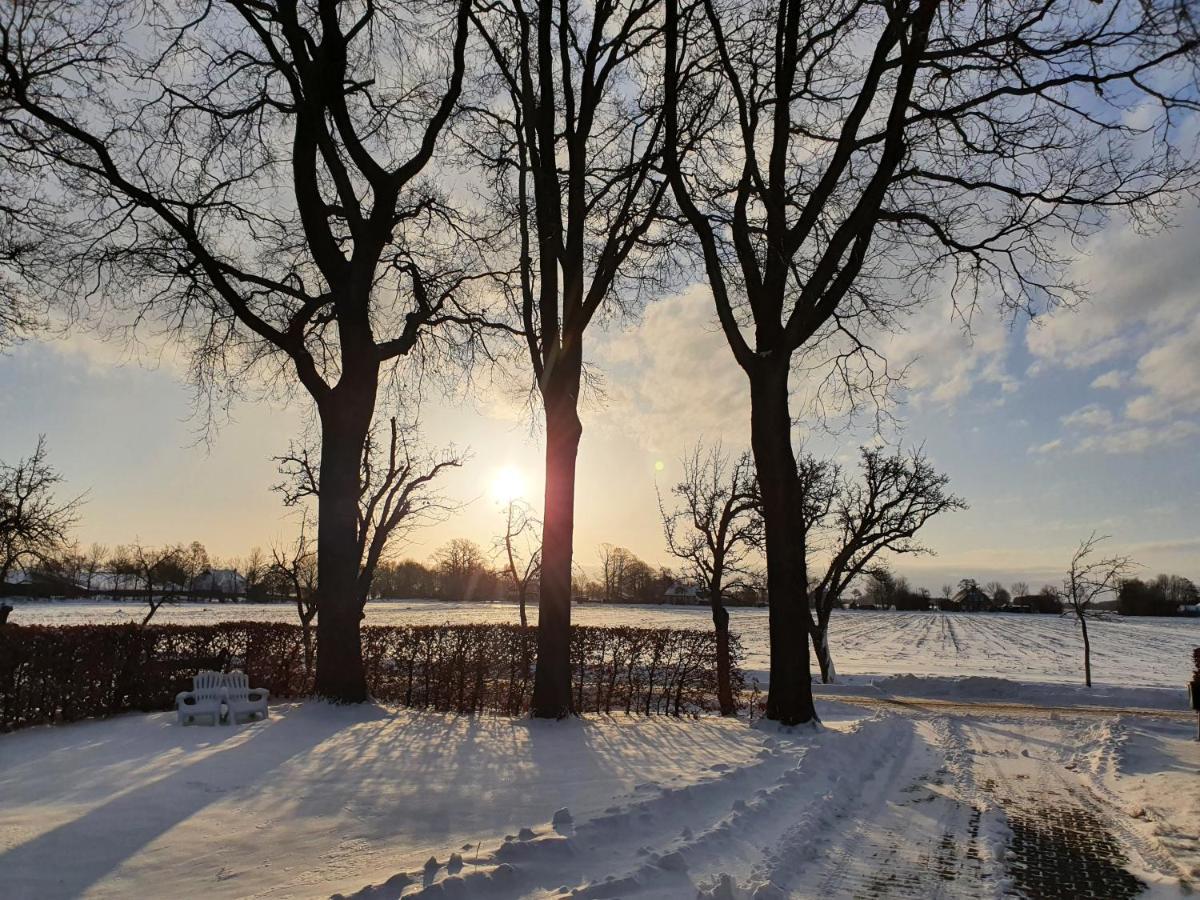 De Bloesemstee - Rustic Manor Farmhouse The Netherlands Ruinerwold ภายนอก รูปภาพ